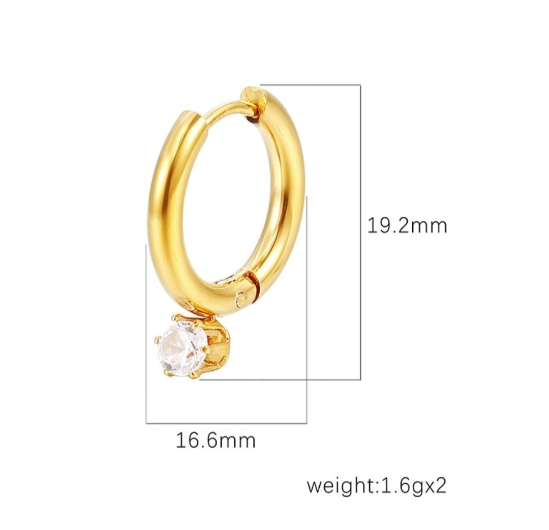 Euphoria Earrings - Golden - Glitze Accessories